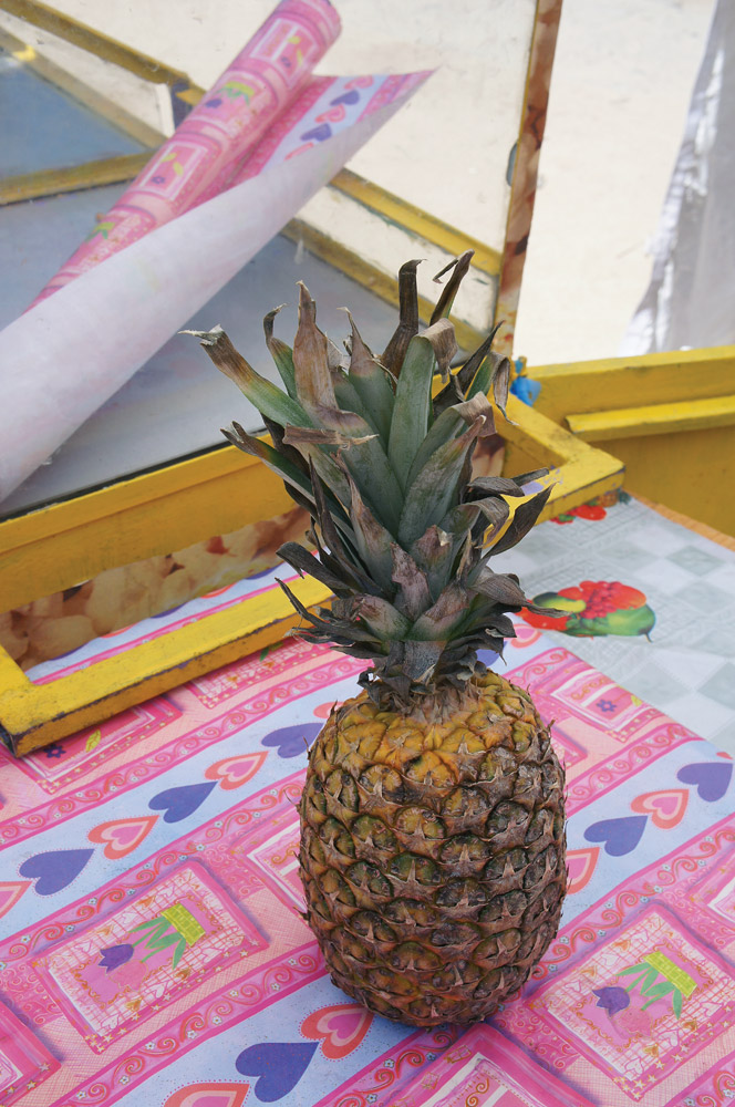Pineapple 2013