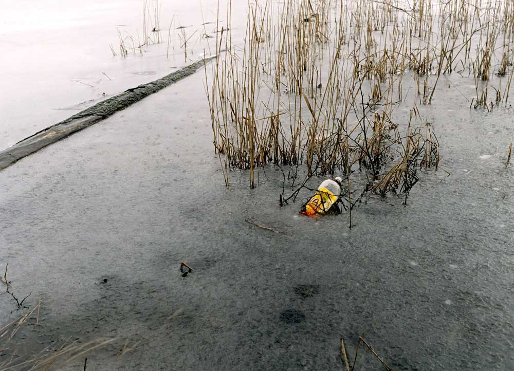 Frozen Bottle 2004