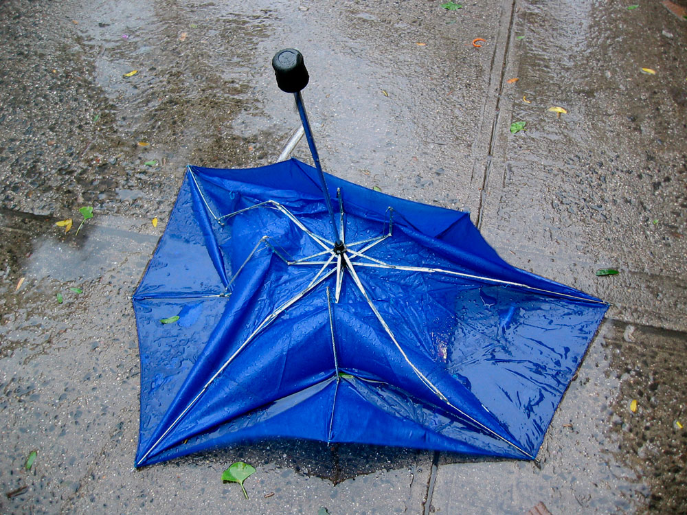 Blue Umbrella 2006